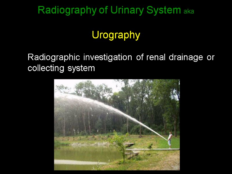 Radiography of Urinary System aka  Urography Radiographic investigation of renal drainage or collecting